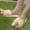 D-Beige, variant on Rinsvye Men Slippers New Pattern Womens Sandal Slippers Autumn and Winter Thickened Fuzzy Flip Flop Slippers for Women Warm Flat Bottom Warm Slippers for Women Booties Comfortable Couple Shoes