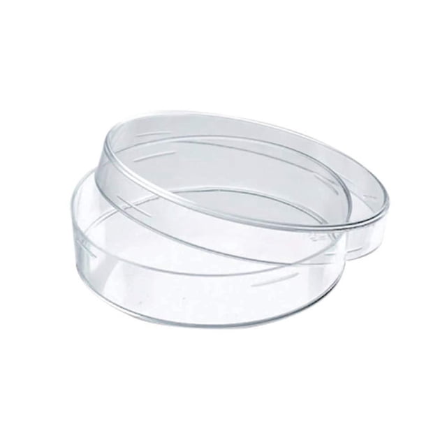 20 placas de plástico, placas de Petri transparentes de 60 mm de diámetro, con cultivo aséptico cubierto