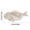 Fish, variant on Halloween Movable Dachshund Skeleton Figurine, 11.8" Posable Plastic Wiener Dog Bone Statue, Halloween Graveyard Haunted House Spooky Tabletop Decor Prop