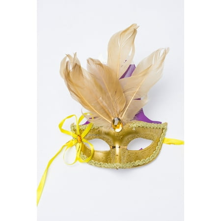 Way to Celebrate Mardi Gras Feather Carnival Mask AST