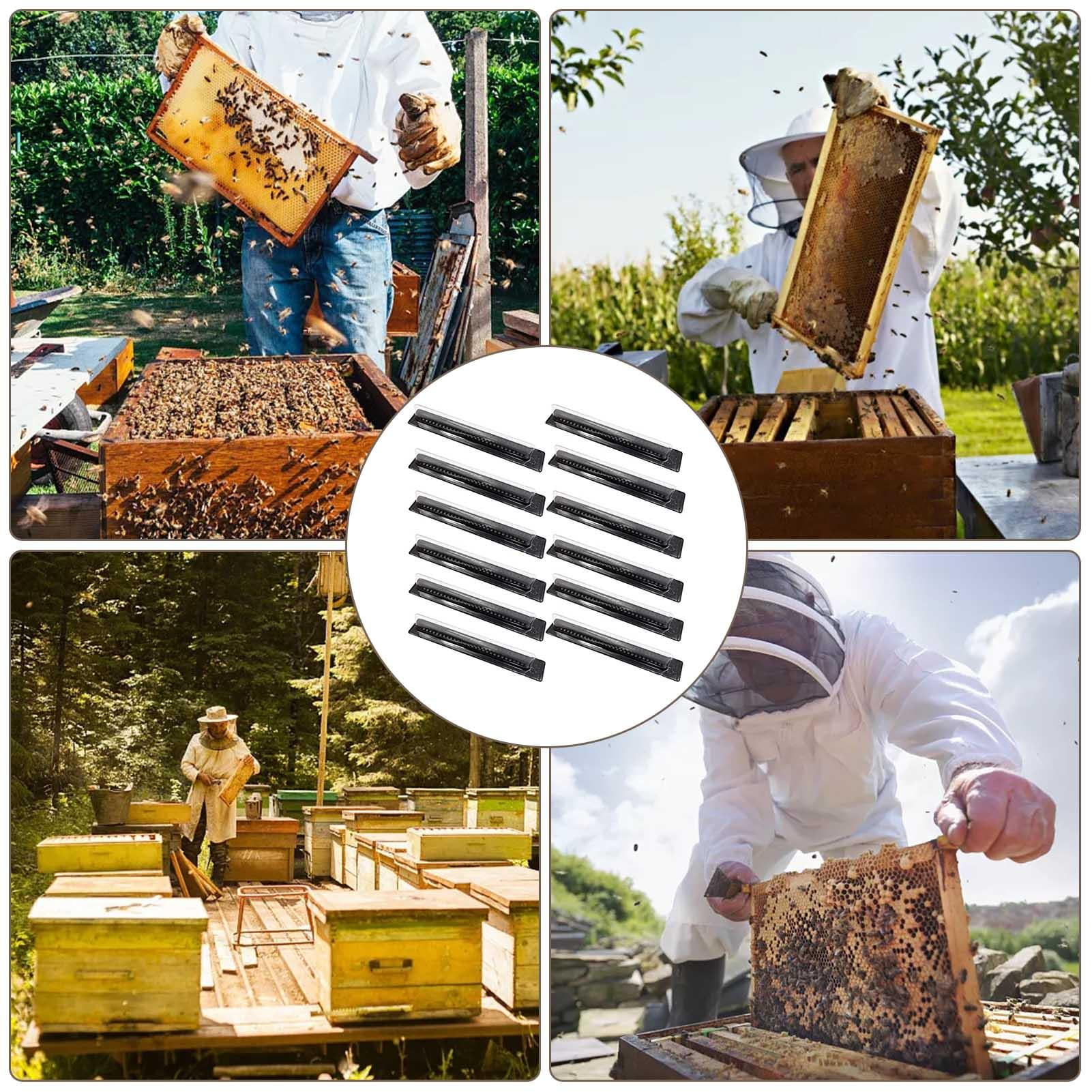 20 PCS Small Bee Hive Beetle Blaster BeeHive Trap Beekeeping Equipment Tool 