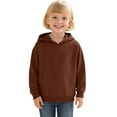 thumbnail image 4 of Toddler Girls Hoodies Sweatshirts Long Sleeve Pullover Solid Casual Outerwear Lined Hooded Sweater Clothes Coffee Size 2-3T, 4 of 4