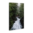 thumbnail image 3 of Stupell Industries Endless Cascade Waterfall Canvas Wall Art design by Sean Greenough, 24 x 16, 3 of 7