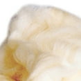 thumbnail image 4 of McKesson Opaque Lamb's Wool Padding 4 oz. 48128, 10 Ct, 4 of 4