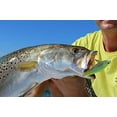 thumbnail image 5 of 3D Inshore Popper Floating Fishing Lure 70mm 2-3/4" for Topwater Action, 5 of 5