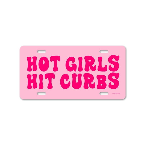 Honey Dew Gifts, Hot Mess Express, 12 inch by 6 inch, Decorative Funny Front License Plate, Vanity Plates Pink Aesthetic Car Accessories for Women, Cute Girly Car Tags, HDG-1499