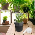 thumbnail image 6 of FRCOLOR  Home Growing Mold Prevention Net Easy-to-use Plant Solution, 6 of 8