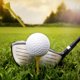 thumbnail image 5 of 10PCS Golfs Glass Type Non Limiting Nails Plastic Holders Low Resistance Accessories Non Limiting, 5 of 6