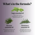 thumbnail image 6 of Maple Holistics Sage Clarifying Shampoo, Tea Tree & Rosemary, 16 fl oz, 6 of 9