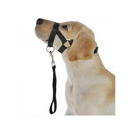 Lavaport Dog Muzzle Nylon Dog Head Collar with a Short Leash for Training