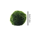 thumbnail image 3 of Decoraciones Del Tanque de Peces Bola Verde en Vivo para Ver Plantas Acuáticas Reales, Decoración Del Tanque de Peces, Botella de Bola de Algas Marinas, Bola de Algas Marinas de 4 cm, Plantas Del Tanq, 3 of 9