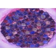 thumbnail image 1 of Ahgly Tapis Rectangulaire Lavable en Machine Intérieur Transitionnel Violet, 7 Pieds x 10 Pieds, 1 of 7