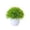 B, variant on TIELUTT Small Bonsai Home Living Room Desktop Small Sunflower Flowers Zinnia Flowers Wedding Flowers Decorations Flower Wreaths Potted Flowers for Outdoors