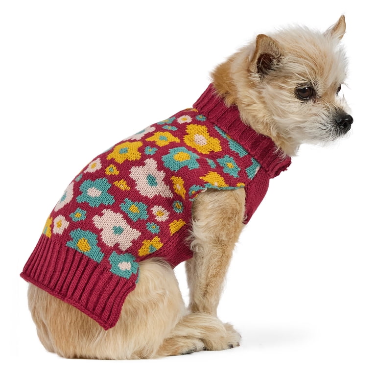Vibrant Life Fall Flowers Sweater for Dogs & Cats, XS photo 1