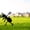 black, variant on HELLOYOUNG Metal Ants Garden Decor Outdoor Lawn Stakes Yard Art Ornaments 1pc Iron Ants Gardening Ornaments Yard Metal Art Craft Backyard Statue Decorative Stake
