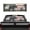 BearFlag, variant on HUIACONG Cats Pumpkin Pickup Car Window Stickers Truck Accessories Personalized Decoration Decal 66 x 22 inch Truck Rear Windows Graphics Easy Installation Fit Most Pickup Trucks SUV
