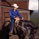 thumbnail image 5 of Camisa Caballero Ariat Original 4234 Azul, 5 of 6
