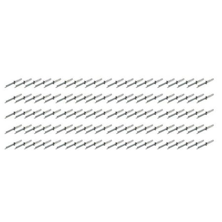 

Fivestar 816A-100S 0.18 in. Silver Shank Small Head Rivet - 100 Piece