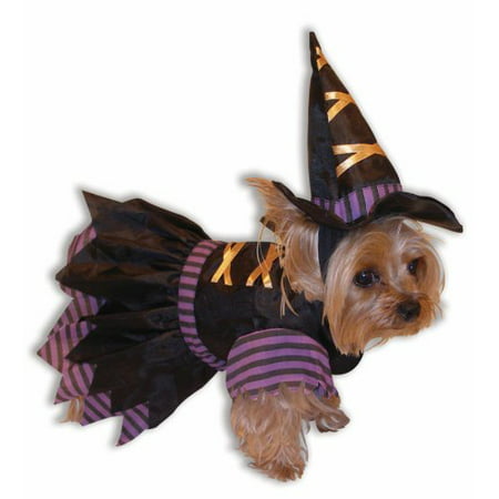 Witch Pet (Promo) Costume, Small, Be the life of the party. By Forum Novelties