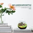 thumbnail image 4 of Miangastore 1 Set of Glass Terrarium Container Ecological Plant Bottle Glass Plant Terrarium with Lid (Random Style Lid ), 4 of 8
