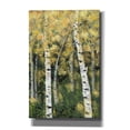 thumbnail image 1 of Epic Graffiti 'Birch Treeline III' by Jade Reynolds, Canvas Wall Art, 40"x60", 1 of 2