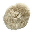thumbnail image 2 of Miangastore 1 Pce Ornement en Forme de Champignon Corail Décoration Maison Chic Rangement Bijoux, 2 of 9
