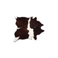 thumbnail image 1 of Natural Kobe Cowhide Neutral Color Rug | 5'x7' | A, 1 of 4