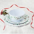 thumbnail image 4 of Pfaltzgraff Winterberry Melamine 24 Peice Set, 4 of 11