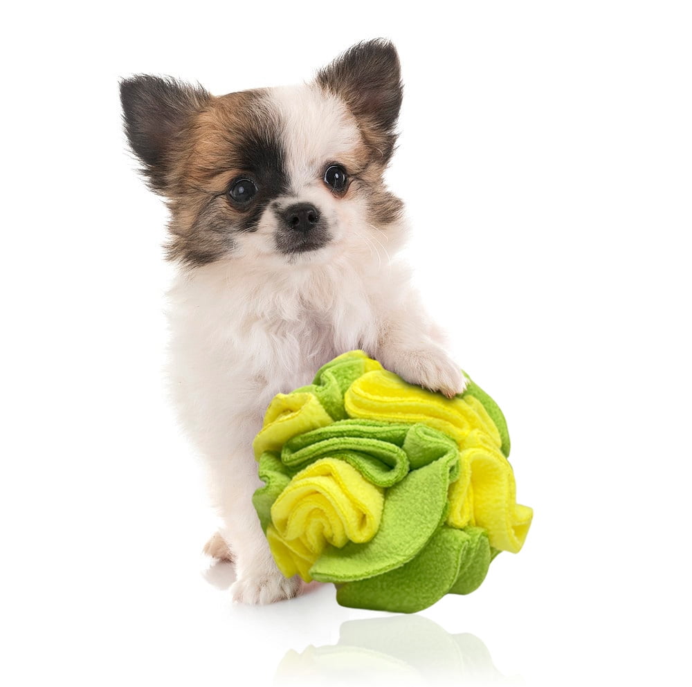 Lemon Lime Snuffle Interactive Foraging Dog Puzzle Ball Toy for Puppy and Adult