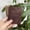 Crazy Horse—Deep Brown Color Change, variant on Top Layer Cowhide Leather Wallet – Vintage Classic Dark Brown, Soft, Vertical, with Money Clip, Handmade Stitching, Driver’s License Window