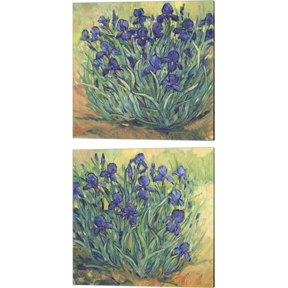 Great Art Now Irises in Bloom by Timothy O'Toole 2 Piece Canvas Art Set Each 14W x 14H