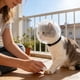 thumbnail image 2 of Bozal multifuncional para gatos, para evitar mordiscos y lametones; collar ajustable y transpirable, 2 of 6