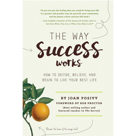 The Way Success Works: How to Decide, Believe, and Begin to Live Your Best Life -