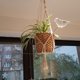 thumbnail image 4 of Pájaro transparente automático flor bebedero bulbo hogar jardín planta riego por goteo, 4 of 8