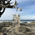 thumbnail image 2 of In the Breeze 7017 — Capiz Decorative Wind Chime, Dragonfly — Melodic Seashell Wind Chime, 2 of 2