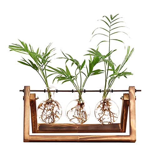 Clear Glass Bulb Planter With Wood Stand Swivel Holder Ornament Display Vase 57 