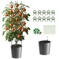 thumbnail image 2 of Slsy Jardinera de Tomates 63" con Enrejado y Ruedas, Autorriego, Soporte para Plantas, Ideal para Jardines, Patios, Invernaderos, Interior y Exterior, Flores y Verduras, 2 of 9
