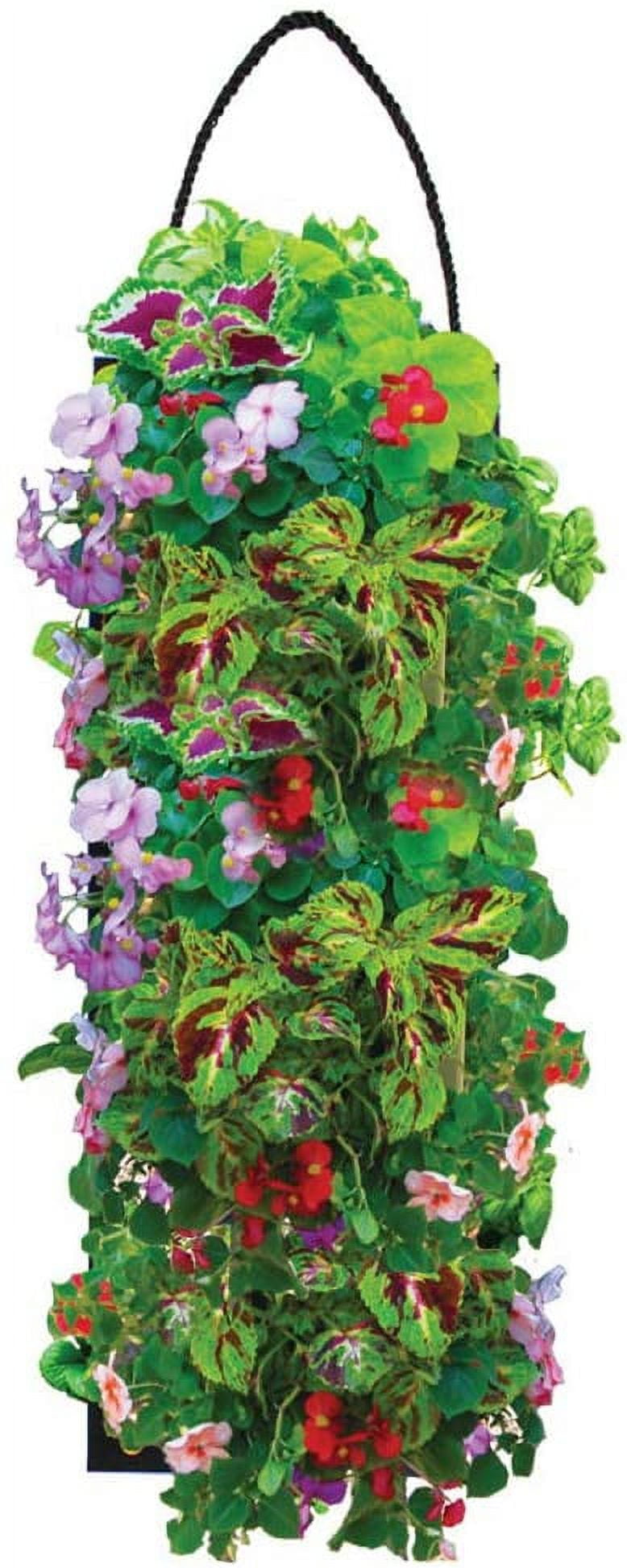 Hanging Shady Annual Flower Garden Kit With Soil Block