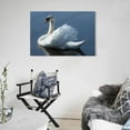 thumbnail image 5 of Swan In The Water Cute Animal Gifts Canvas Painting Poster Wall Art Decorative Picture Prints Modern Decor 08x12inch(20x30cm), 5 of 6