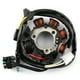 thumbnail image 4 of Bobina del estator del alternador para Kawasaki KLX 300 KLX300R 1996-2007 #.21003-1274, 4 of 8