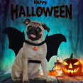 thumbnail image 2 of Murciélago Para Mascotas Ajustable Halloween Mascota Perro Murciélago Alas Accesorios De Halloween Para Fiesta De Cumpleaños De Disfraces Eigraketly HA043686-03, 2 of 6