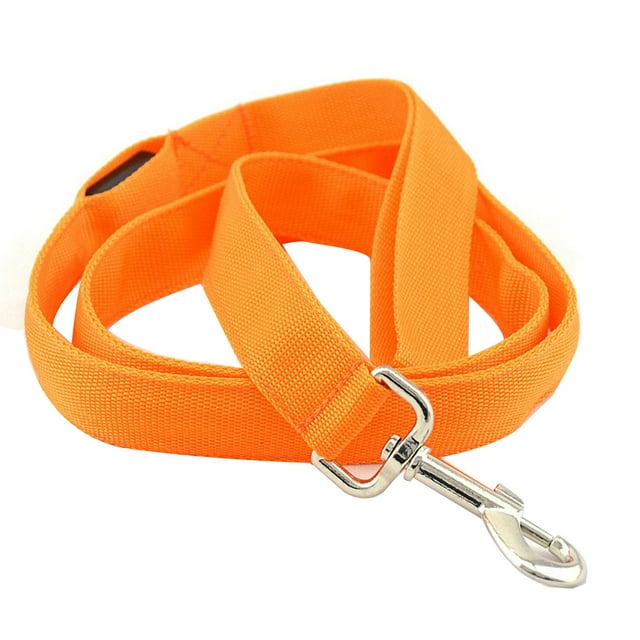 Safe Luminous USB Charging Led Dog Leash Accessories Lead Strip Glowing Light Up