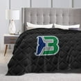 thumbnail image 4 of Hartford Whalers Fleece Blanket, Very Soft Microfiber Flannel Blanket for Couch Warm and Cozy for All Seasons, 4 of 6