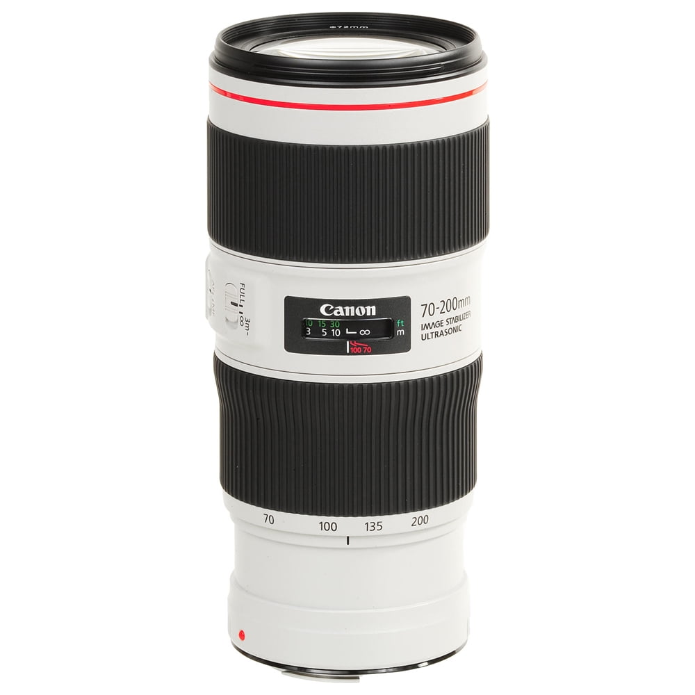 Canon EF 70-300mm f/4-5.6 L IS USM DSLR Camera Zoom Lens - Walmart.com