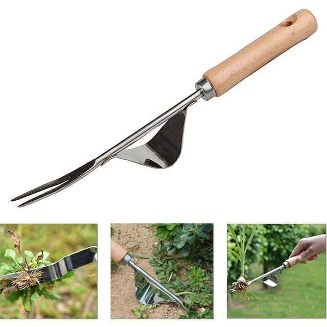 Herramienta de gubia de deshierbe manual de acero inoxidable con mango de madera Sincero Electrónica