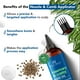 thumbnail image 5 of Aceite capilar Botanic Hearth, romero y ricino, 200 ml, nutritivo, 5 of 8