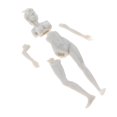 thumbnail image 3 of de Resina 1/35 Chica Sin para Kits de Construcción de Modelos de de Arena Baoblaze Figura de resina sin pintar, 3 of 6