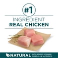 thumbnail image 3 of Purina ONE SmartBlend Formule pour Chiot de Grande Race au Poulet, Nourriture Sèche pour Chiens 14 kg, 3 of 8