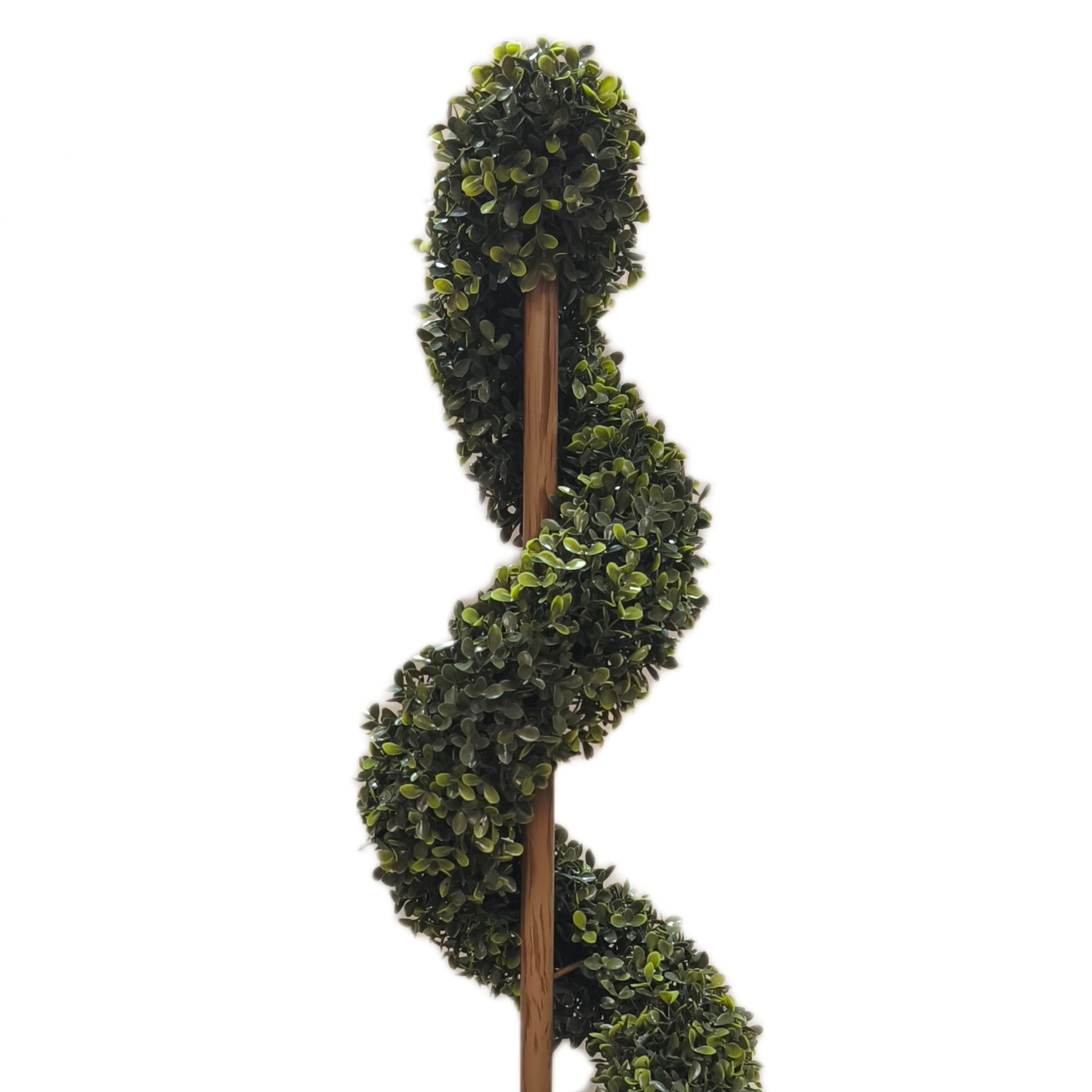 My Texas House 36" Swirl Boxwood Topiary