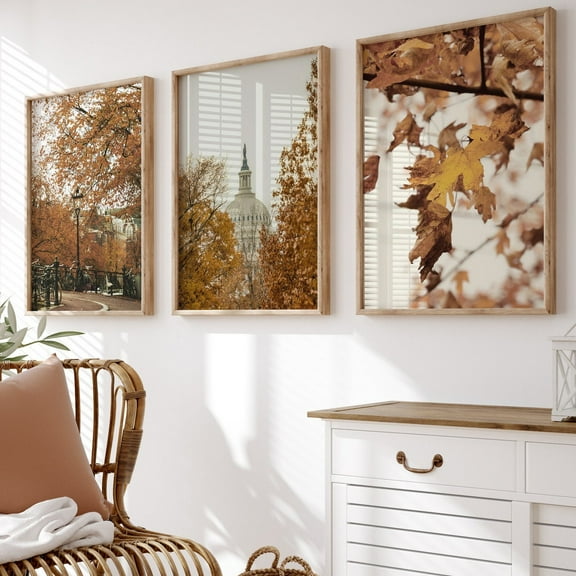 Luvia Gallery Wall Autumn Set of 3, City Art Print, Travel Autumn Art Print, Fall Nature Poster, Wall Decor, Rustic Travel Poster Wall Decor Set 3 Prints 8x12 UNFRAMED